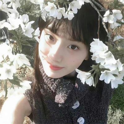 百鸟争春 海报